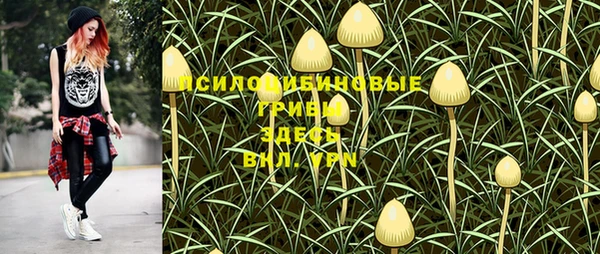 гашиш Надым