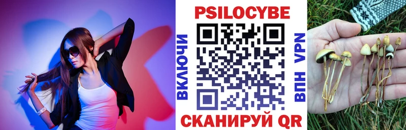 Псилоцибиновые грибы мицелий Черняховск