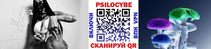Галлюциногенные грибы Psilocybe  Черняховск 
